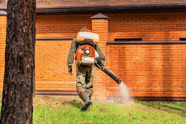 Trusted Bed Bug Control service in Willow Grove, TX - Nex Pest Control